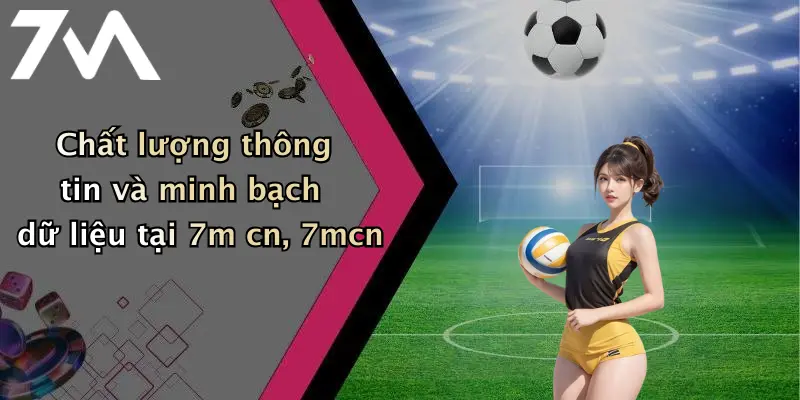 Chất lượng thông tin và minh bạch dữ liệu tại 7m cn, 7mcn