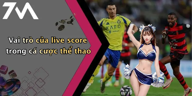 Vai trò của live score trong cá cược thể thao